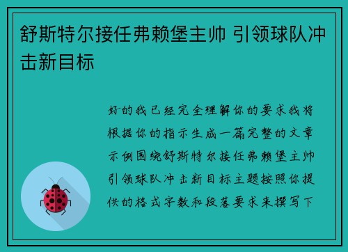 舒斯特尔接任弗赖堡主帅 引领球队冲击新目标